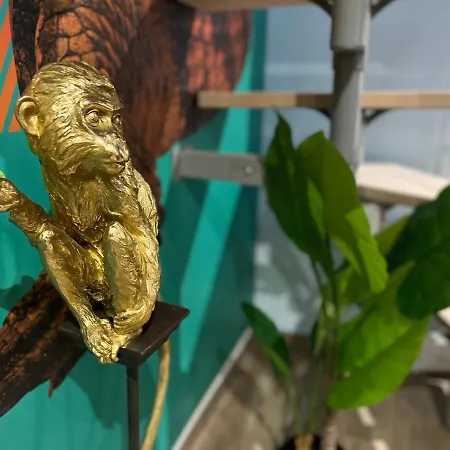 Capsule Safari - Jacuzzi - Nintendo Switch - Netflix&home Cinéma - Pouf Géant - Filet Suspendu Appartamento Douai